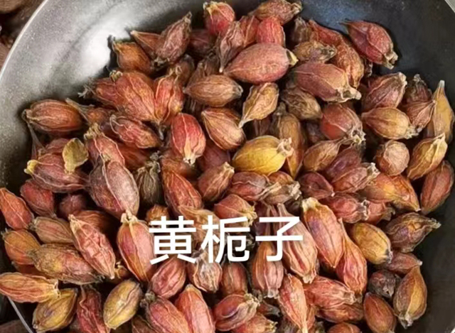 黃梔子